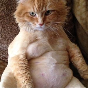 Meet your Posher, Joseph